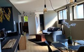 Appartement Atypique Epinal Gare